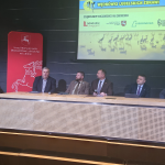 cereclimen wedrowki zurawi 07af