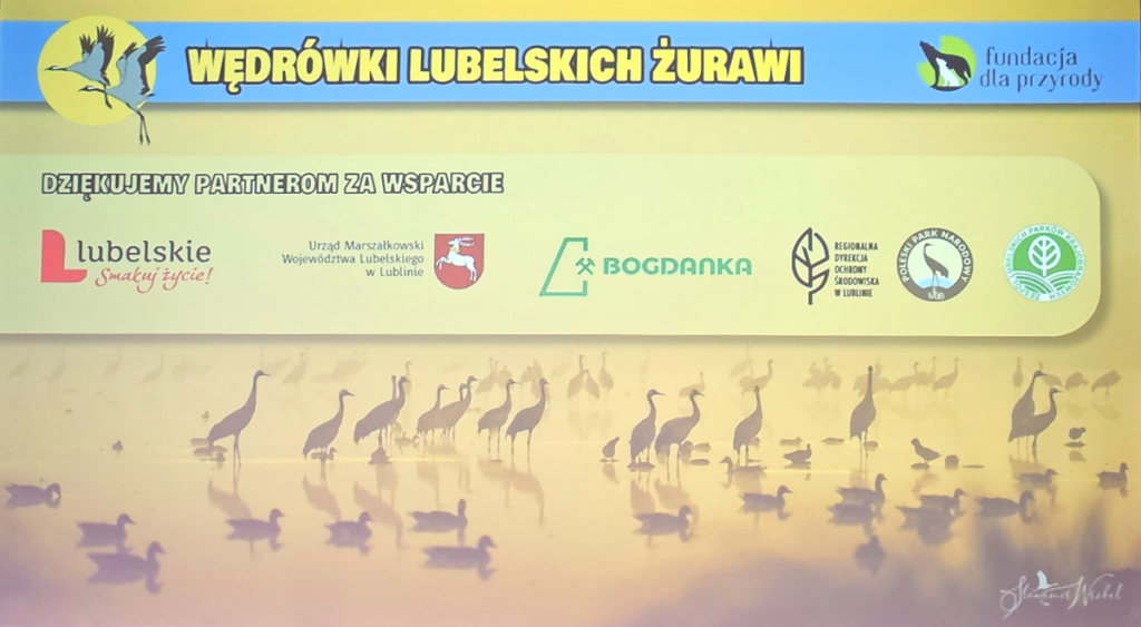 wedrowki zurawi title